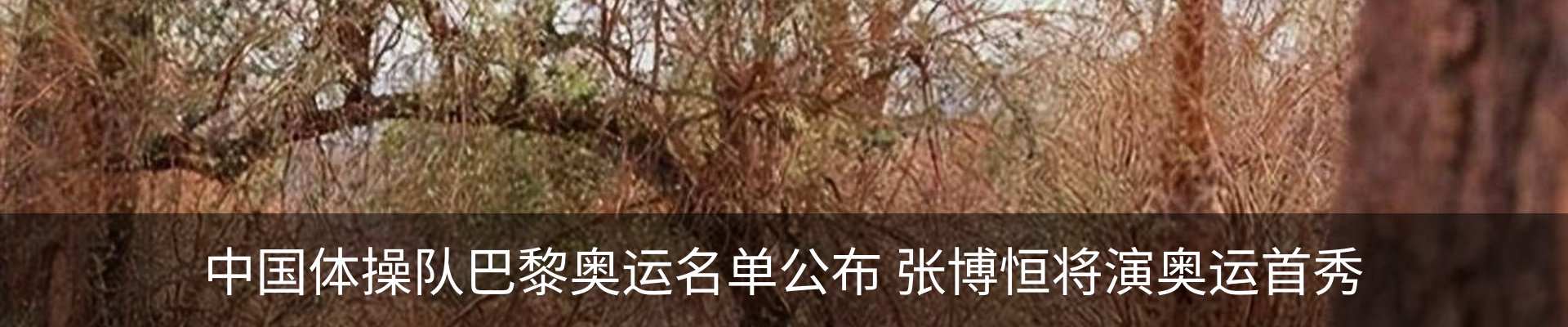 行业资讯