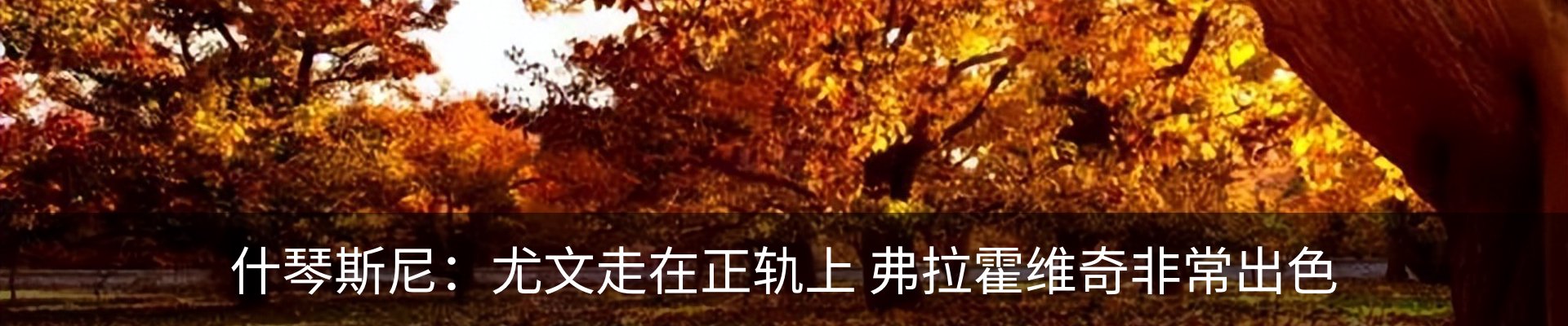 行业资讯